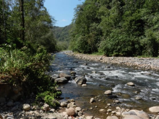 INTERN VIEW: Balsa River Hydroelectric Project